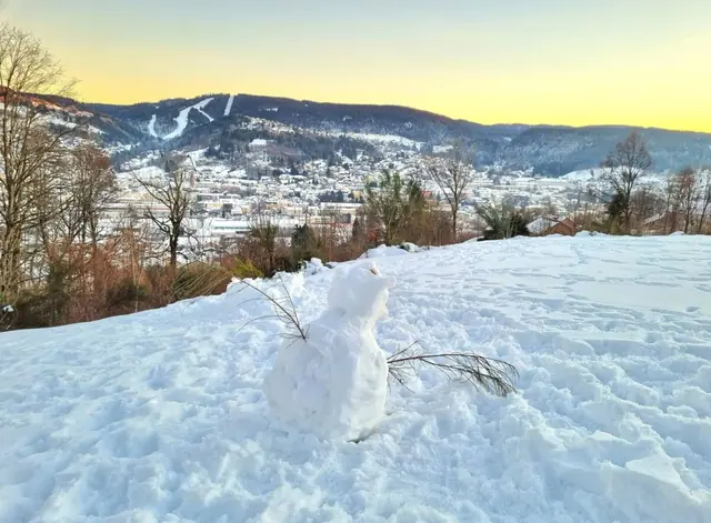 Un matin d'hiver devant la résidence